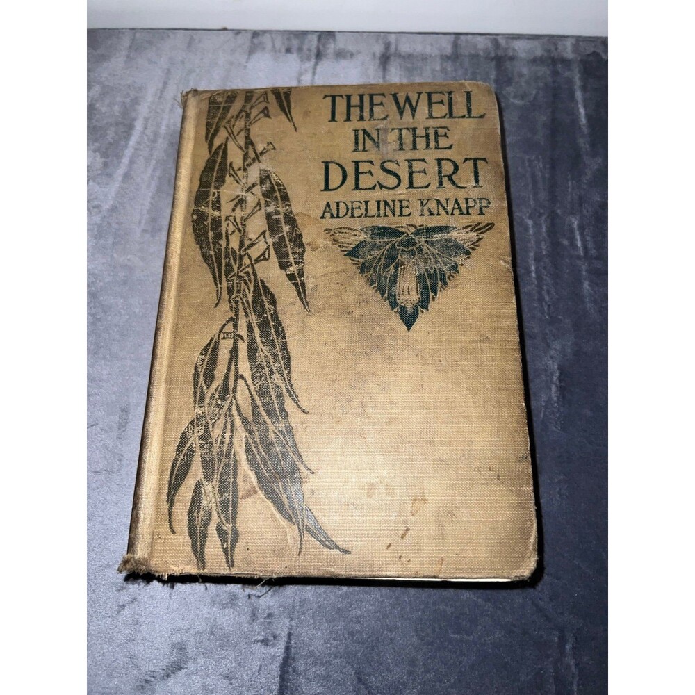 Antique The Well in the Desert by Adeline Knapp 1908 1st Editio Grosset & Dunlap